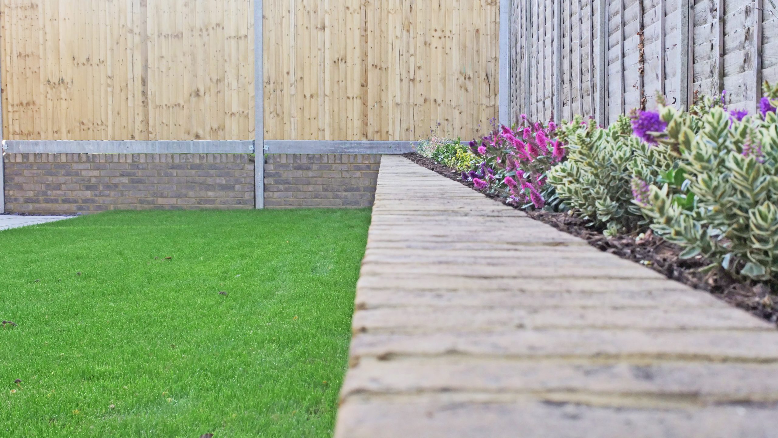 A new build bungalow garden at our Churchfields development, with grass and flower beds next to surrounding fences.