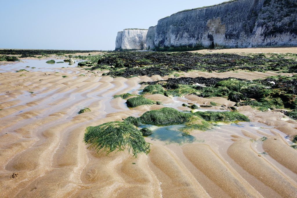The sandy beaches, chalk stacks and white cliffs at Botany bay.