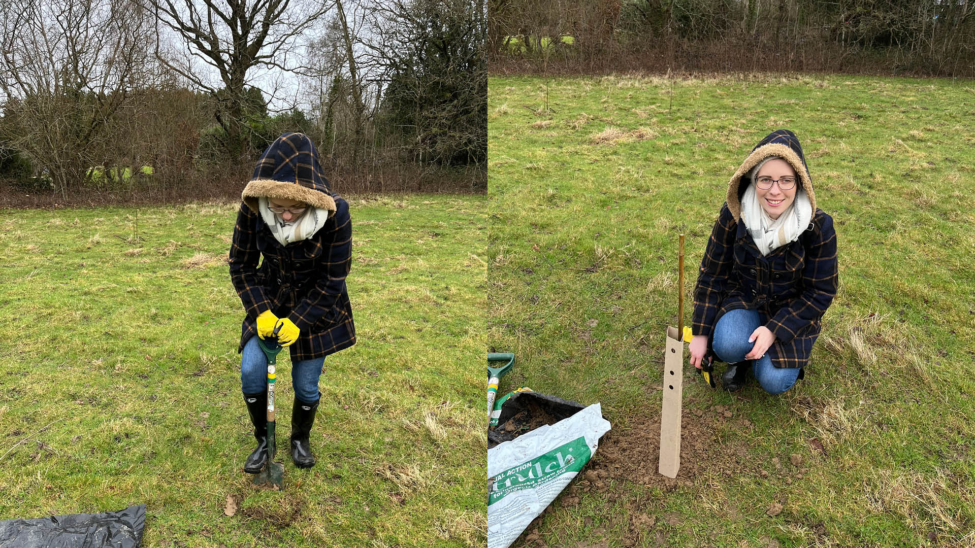 Two images of a woman in a hooded coat planting a tree, one image shows her digging a hole, the other shows her crouching next to the sapling