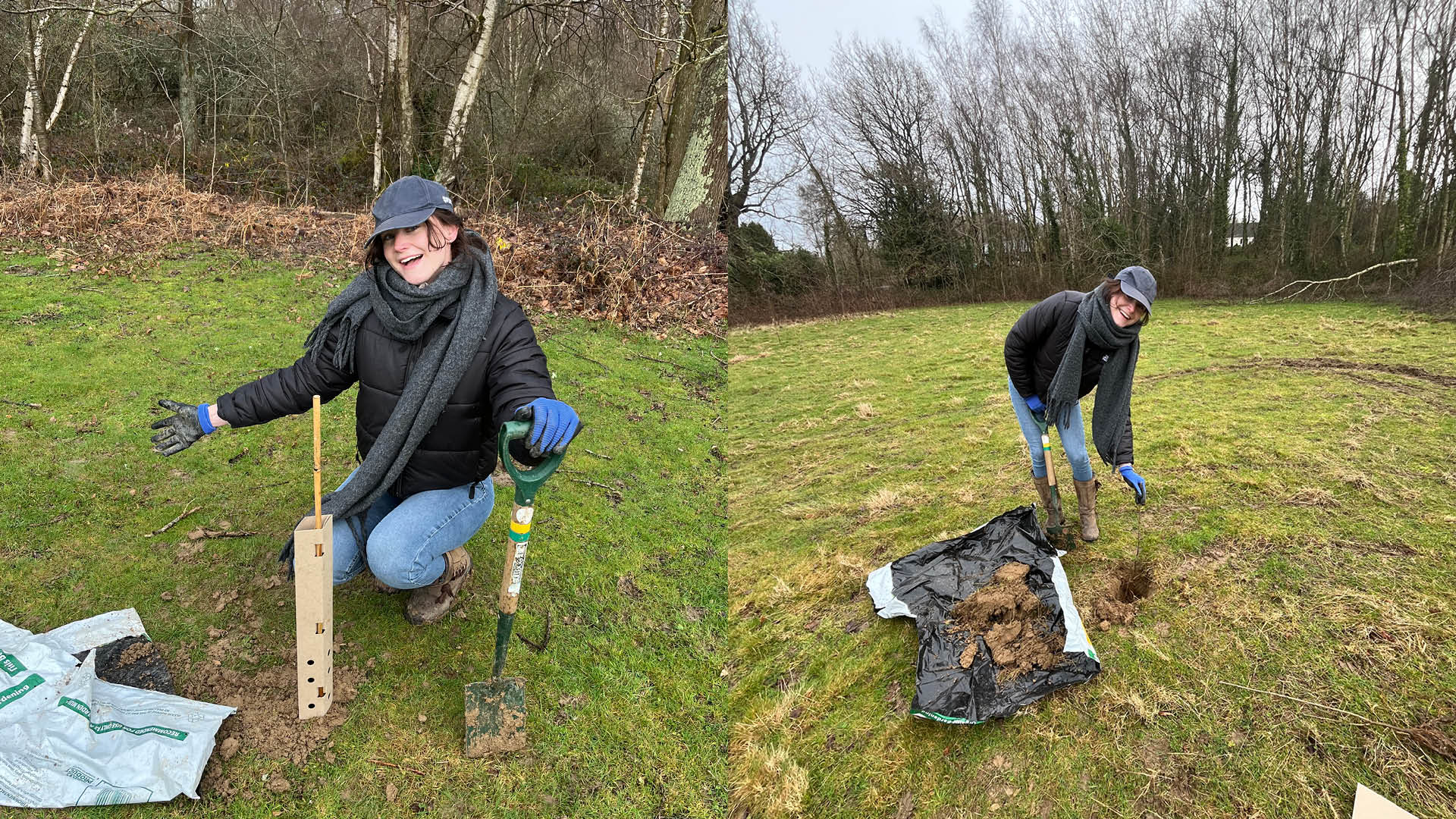 Two images on a woman in a black coat holding a shovel as she plants a tree