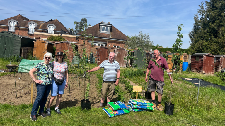 In an allotment, four people stand in from of a plant bed, holding trees and squinting from the sun